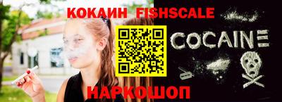 шишки Кингисепп