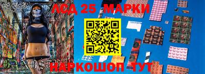 шишки Кингисепп