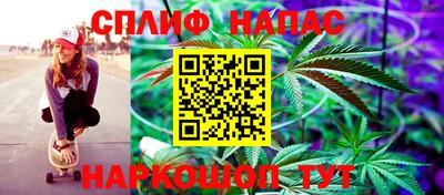 шишки Кингисепп