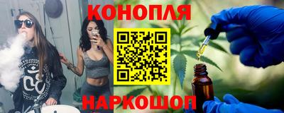 шишки Кингисепп